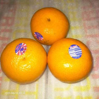 Jeruk Phoenix Mandarin/ Jeruk Murcot/ Jeruk Mandarin Australia 1 kg