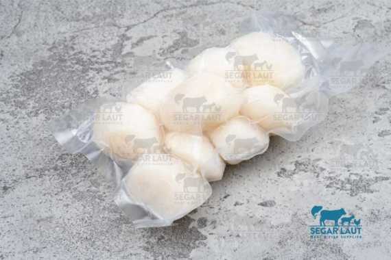 Scallop US Import / Frozen Scallop USA / Scallop Jumbo 250 gr