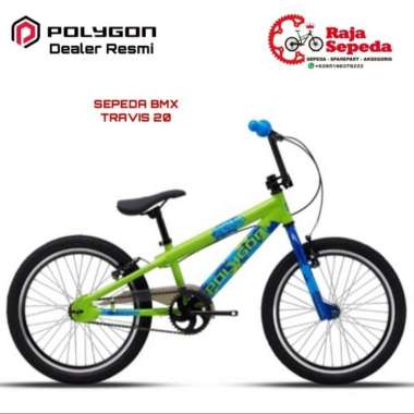 SEPEDA BMX POLYGON TRAVIS 20 Hijau