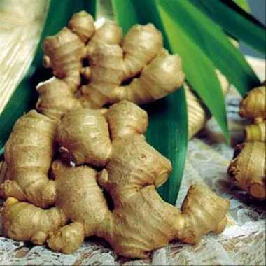 Jahe Emprit 100gr