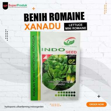 benih selada baby romaine xanadu enza indoseed lettuce romaine Multicolor