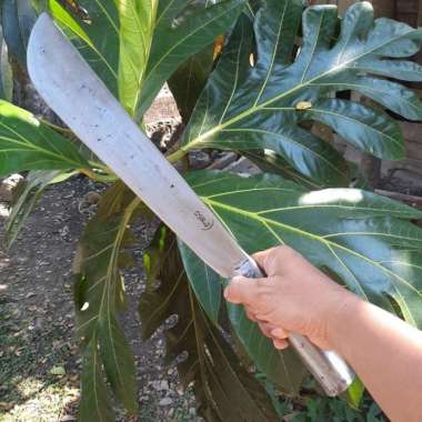 Golok Hutan Pohon dan Ranting - Bendo Arit Sabit Full Tang Babat Semak