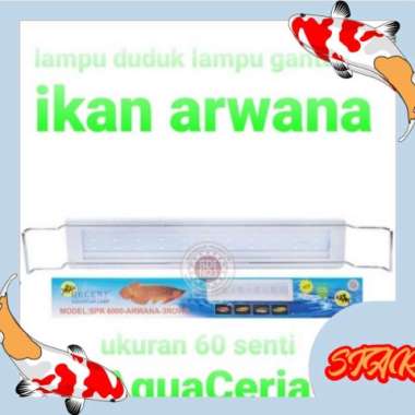 lampu spr recent 6000 lampu aquarium ikan arwana lohan ikan kelas