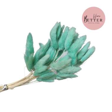Better Home Dried Flower Bunny Tail Bunga Kering Bouquet Lagurus Ovatus (ECER) EMYEA 2 Tiffany Blue
