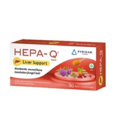 HEPA-Q BOX 30 KAPSUL