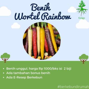 BENIH WORTEL RAINBOW / BIBIT WORTEL RAINBOW