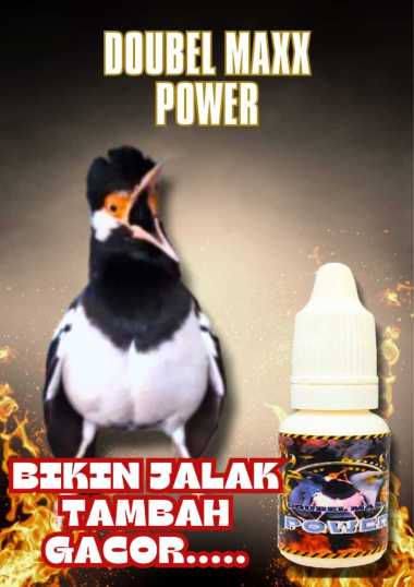 DOUBEL MAXX POWER PENGGACOR BURUNG JALAK