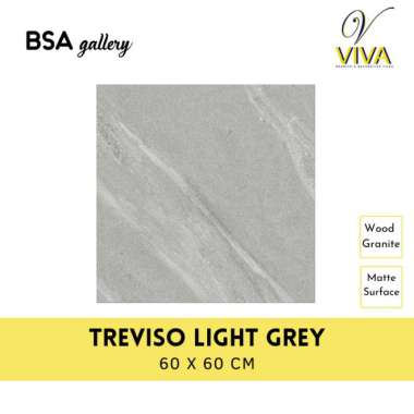 GRANIT VIVA 60X60 TREVISO LIGHT GREY / GRANITE TILE MATTE TERAS WC