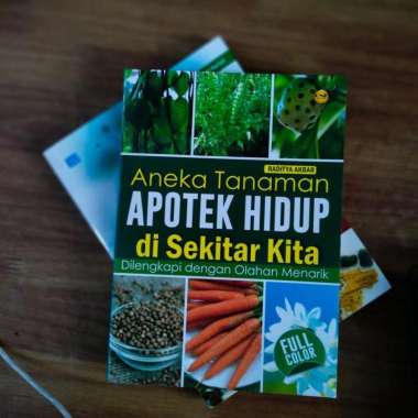 aneka tanaman apotek hidup disekitar kita