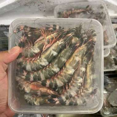Udang Windu