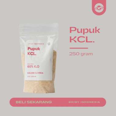 PUPUK KCl (MONO KALIUM POSPHATE)