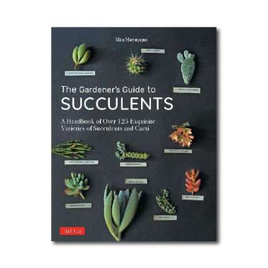 Gardener's Guide to Succulents - 9780804851060