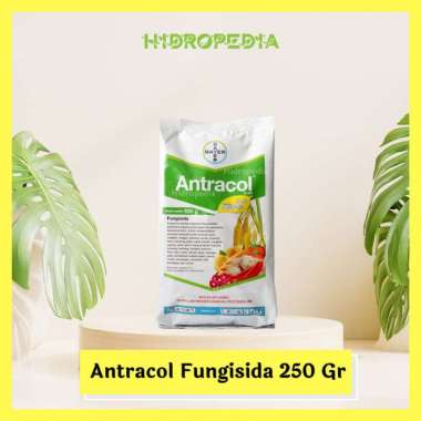 Fungisida Antracol 70WP + Zinc 250 gram Multicolor