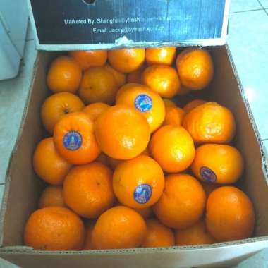 Buah Jeruk Mandarin Wogam/ Jeruk Wokan/ Jeruk Wogan/ Jeruk Wokam 1 KG