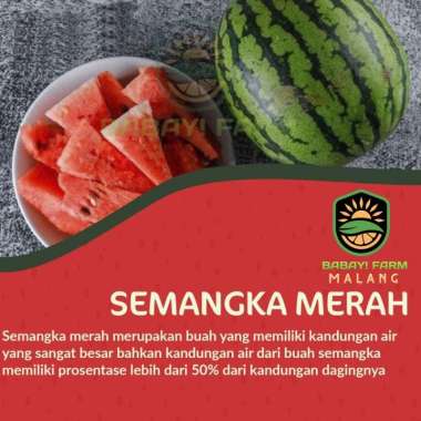 Buah semangka merah biji