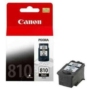 ink catridge canon 810