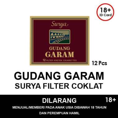 GUDANG GARAM SURYA FILTER COKLAT ISI 16