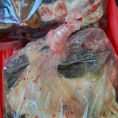 Daging Pio / Labi - Labi Potong 1 kg Fresh.