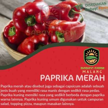 Paprika Merah 1 KG
