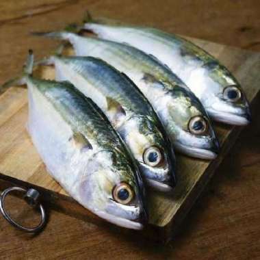 Ikan Tenggiri Segar Fresh 1 kg
