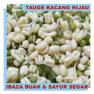 TOGE/ Tauge/ KECAMBAH KACANG HIJAU - Sayur Segar IBAZA fruitsBOX