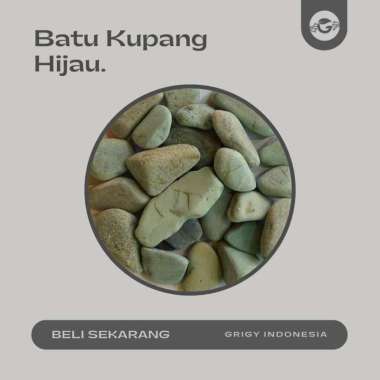 BATU KORAL KUPANG HIJAU (BATU SIKAT/BATU KACANG) 1 KG