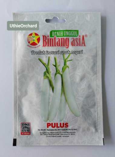 Benih Bintang Asia - Terong Putih Pulus Kemasan 3 gr