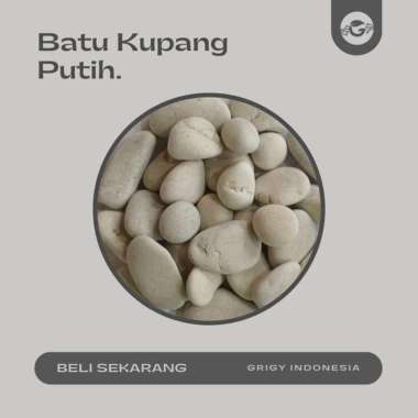 BATU KORAL KUPANG PUTIH 1 KG