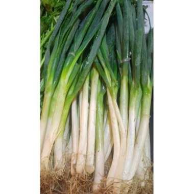 Daun Bawang/1 kg