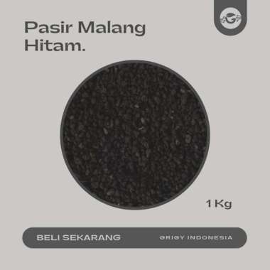 PASIR MALANG HITAM KAKTUS/MEDIA TANAM PASIR MALANG HITAM 1000 GR