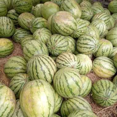 Buah Semangka Semangka merah - Â½ buah