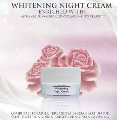 Whitening Night Cream Ms Glow