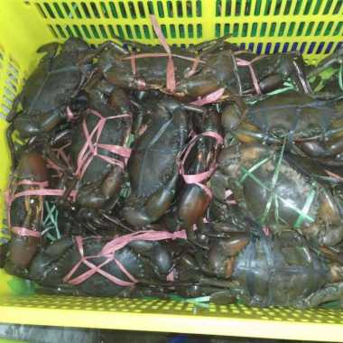 Ikan Kepiting rajungan fresh segar Kepiting - 1 kg