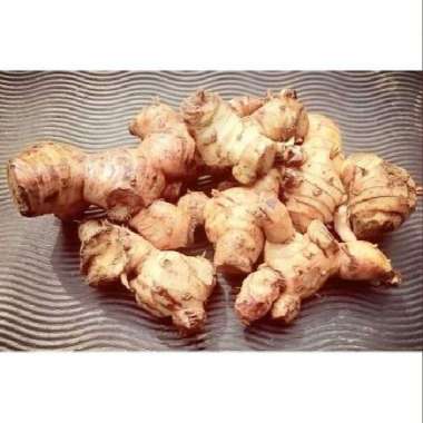 Laos/Lengkuas Putih 1 kg