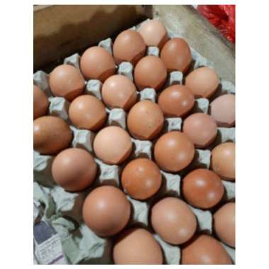 Telur Ayam Negeri/1 kg