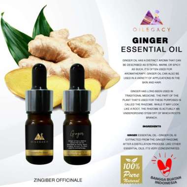 Ginger Essential Oil | Ginger | Jahe | Minyak Atsiri | Dropper | Pipet