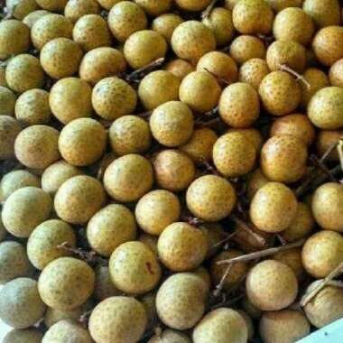 Buah Kelengkeng Lengkeng Lokal 500 gram