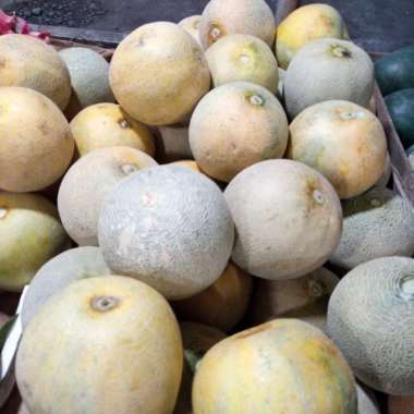 buah melon per buah