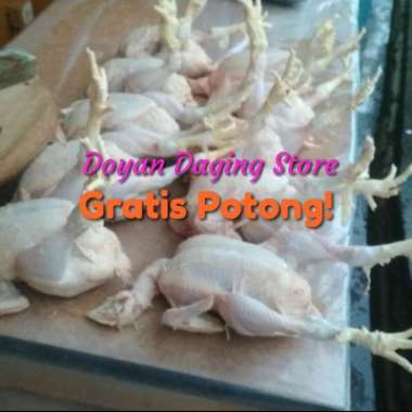 Ayam Broiler fresh segar utuh kepala + ceker + jeroan gratis potong - 500 gr 500 gr - 600 gr