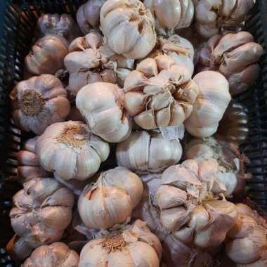 Bawang Putih/1 kg