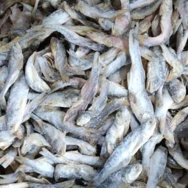 Ikan Asin Sinangin Asli Medan Se Ons