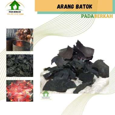 Arang Batok Kelapa Arang Sate Areng Batok Tempurung Kelapa