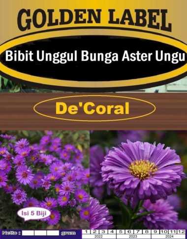 Bibit Unggul Bunga Aster Ungu|Benih Bunga Aster Ungu|Bunga Aster