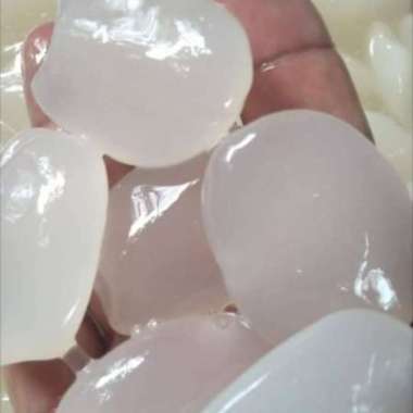 Buah Kolang kaling fresh segar 1 kg