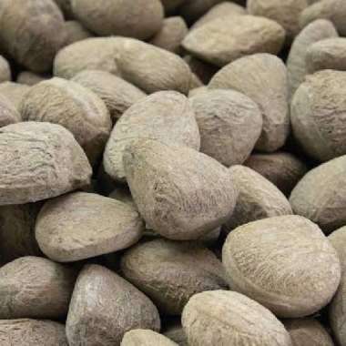 Rempah rempah kluwek kepayang 1 kg