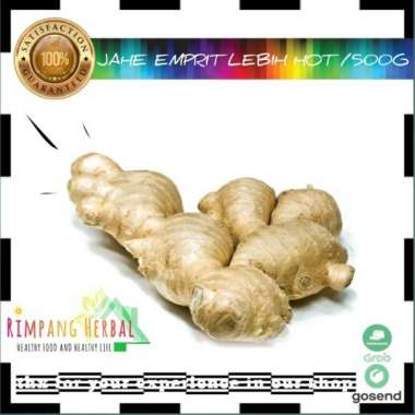 jahe emprit / jahe original lebih pedes 500 G