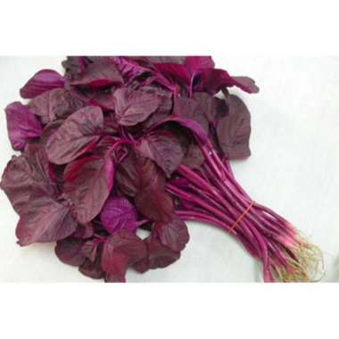 Bayam Merah/Sayur Bayam Merah 1ikat
