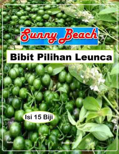 Bibit Pilihan Leunca|Bibit Lenca|Biji Benih Leunca |Biji Leunca