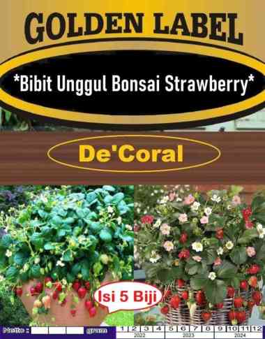 Bibit Unggul Bonsai Strawberry |Benih Strawberry Bonsai|Bibit Stroberi