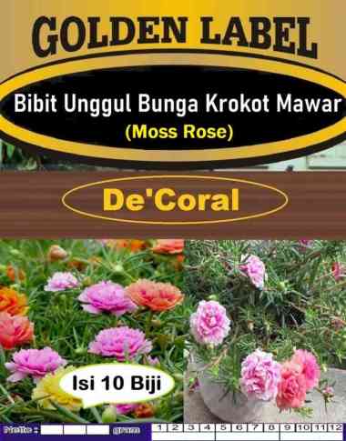 Bibit Unggul Bunga Krokot Mawar | Bibit Moss Ross | Biji Benih Krokot